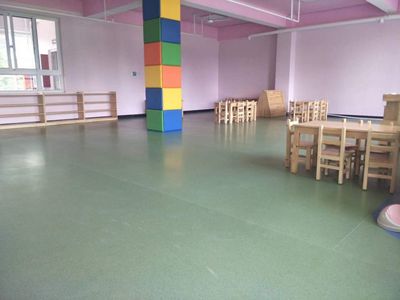 廣西幼兒園PVC地膠室內鋪裝 為孩子打造安全舒適的成長空間